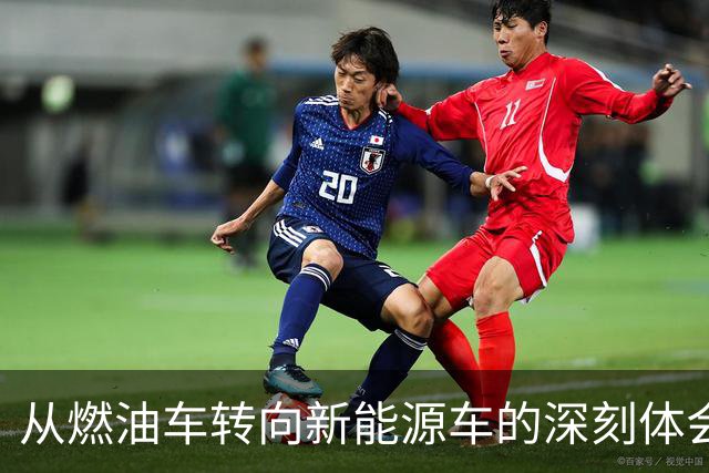 从燃油车转向新能源车的深刻体会：理智消费与避坑指南